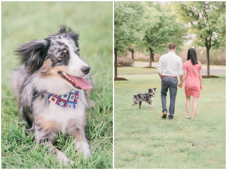 Puppy Engagement Session