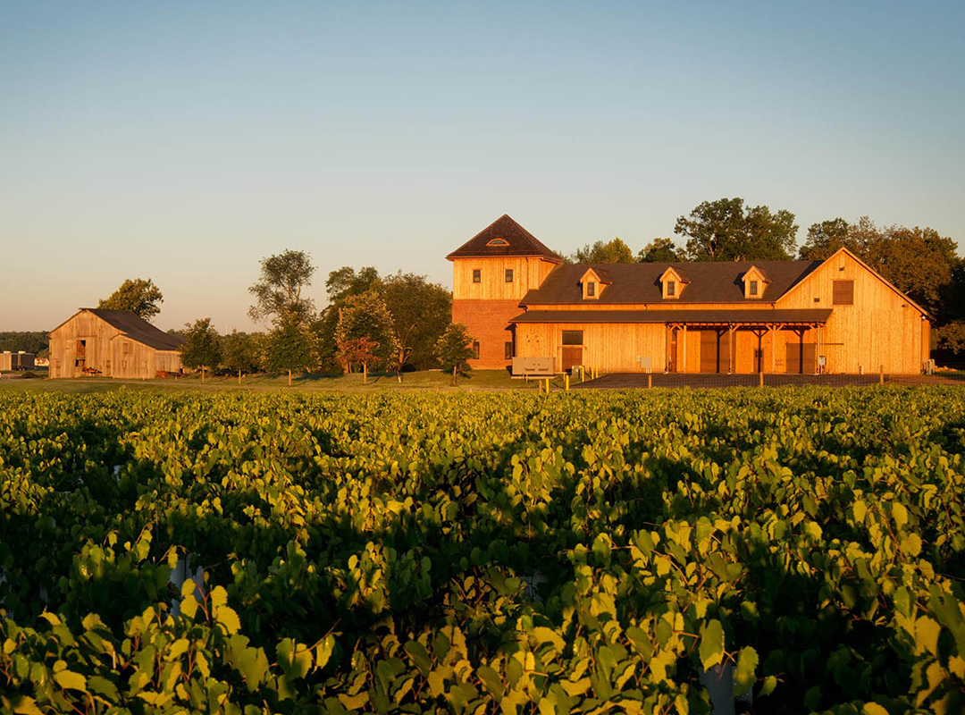 Chateau Bu-De Winery & Vineyard Bohemia Manor Farm