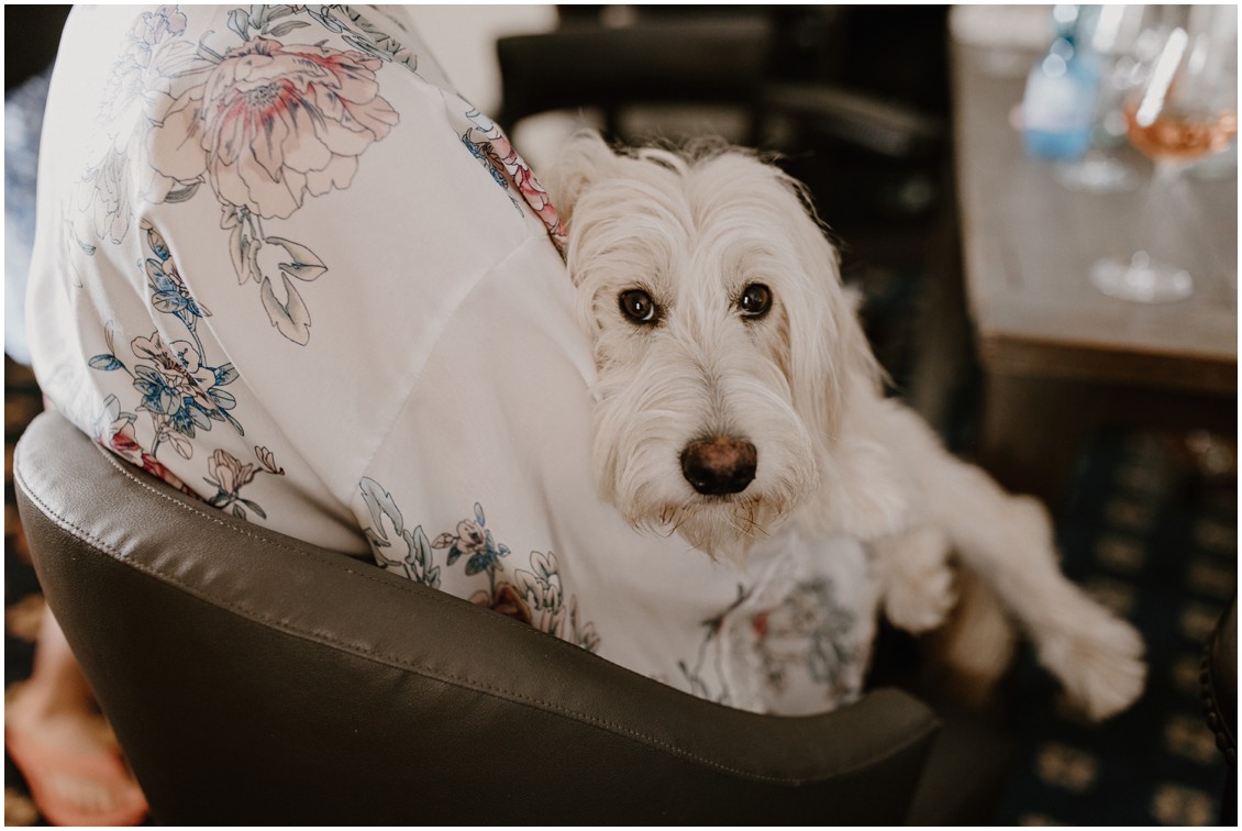 bride with beloved dog| My Eastern Shore Wedding | The Tidewater Inn