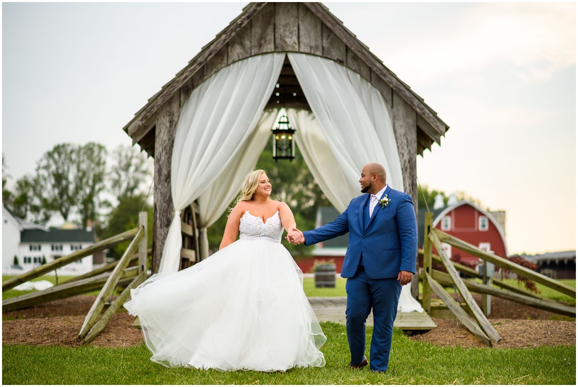 bride and groom portrait happily ever after | My Eastern Shore Wedding | J Nicole Photography