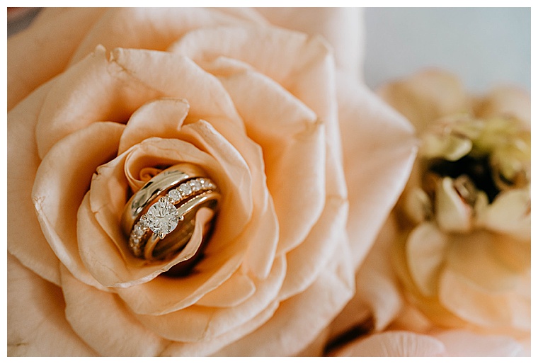 A golden engagement ring and two gold wedding bands rest in the center of a peachy pink rose bud
