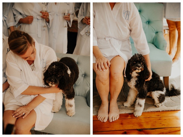 The bride is supported not only by bridesmaids but by her furry friends as she gets ready for her wedding day